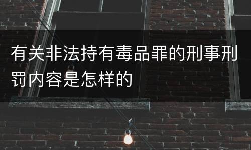 有关非法持有毒品罪的刑事刑罚内容是怎样的