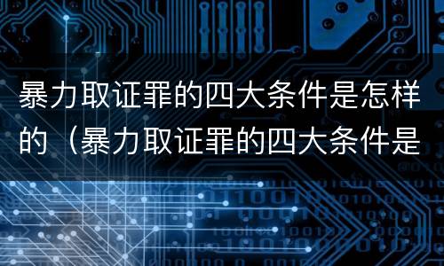 暴力取证罪的四大条件是怎样的（暴力取证罪的四大条件是怎样的呢）