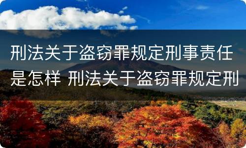 刑法关于盗窃罪规定刑事责任是怎样 刑法关于盗窃罪规定刑事责任是怎样划分的