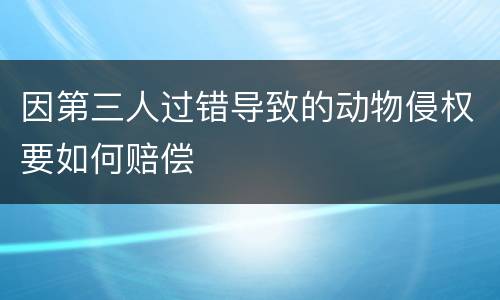 因第三人过错导致的动物侵权要如何赔偿