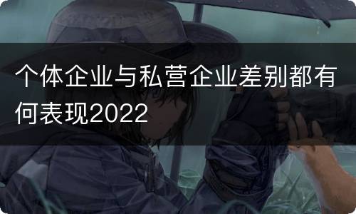 个体企业与私营企业差别都有何表现2022