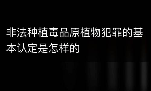 非法种植毒品原植物犯罪的基本认定是怎样的