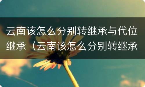 云南该怎么分别转继承与代位继承（云南该怎么分别转继承与代位继承呢）