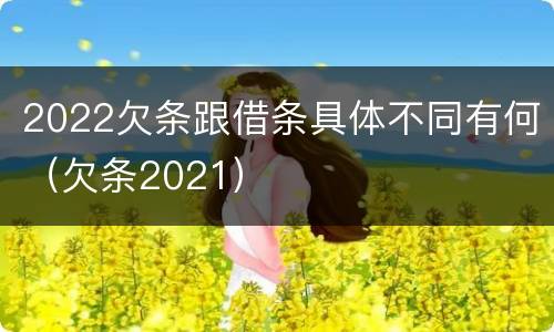 2022欠条跟借条具体不同有何（欠条2021）