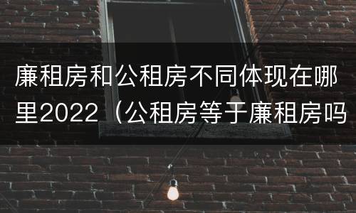 廉租房和公租房不同体现在哪里2022（公租房等于廉租房吗）