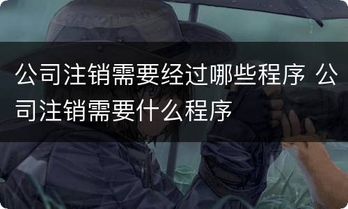 公司注销需要经过哪些程序 公司注销需要什么程序