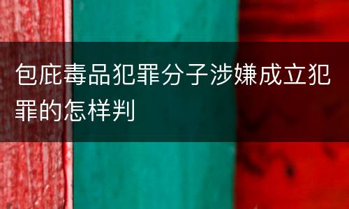 包庇毒品犯罪分子涉嫌成立犯罪的怎样判