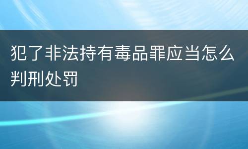 犯了非法持有毒品罪应当怎么判刑处罚