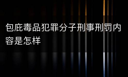 包庇毒品犯罪分子刑事刑罚内容是怎样