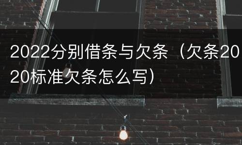 2022分别借条与欠条（欠条2020标准欠条怎么写）