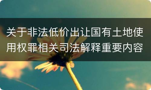 关于非法低价出让国有土地使用权罪相关司法解释重要内容有哪些