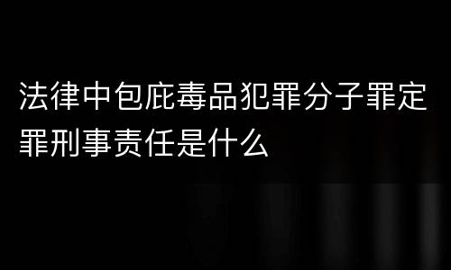 法律中包庇毒品犯罪分子罪定罪刑事责任是什么