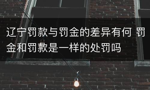 辽宁罚款与罚金的差异有何 罚金和罚款是一样的处罚吗