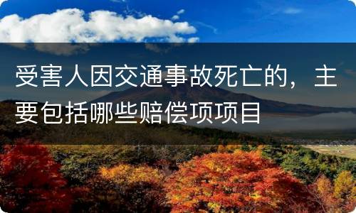 受害人因交通事故死亡的，主要包括哪些赔偿项项目