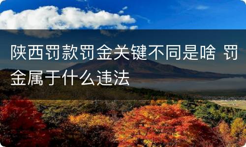 陕西罚款罚金关键不同是啥 罚金属于什么违法