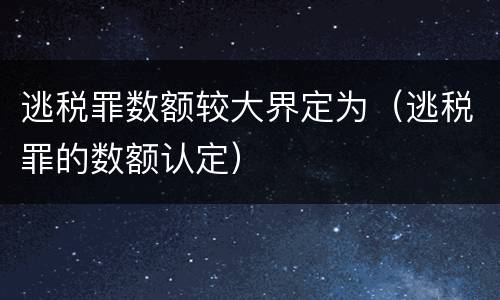 逃税罪数额较大界定为（逃税罪的数额认定）