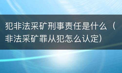 犯非法采矿刑事责任是什么（非法采矿罪从犯怎么认定）