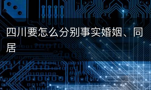 四川要怎么分别事实婚姻、同居