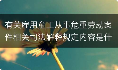 有关雇用童工从事危重劳动案件相关司法解释规定内容是什么