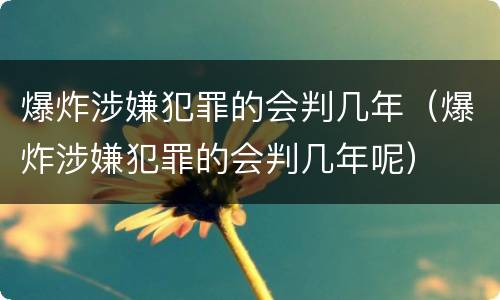 爆炸涉嫌犯罪的会判几年（爆炸涉嫌犯罪的会判几年呢）